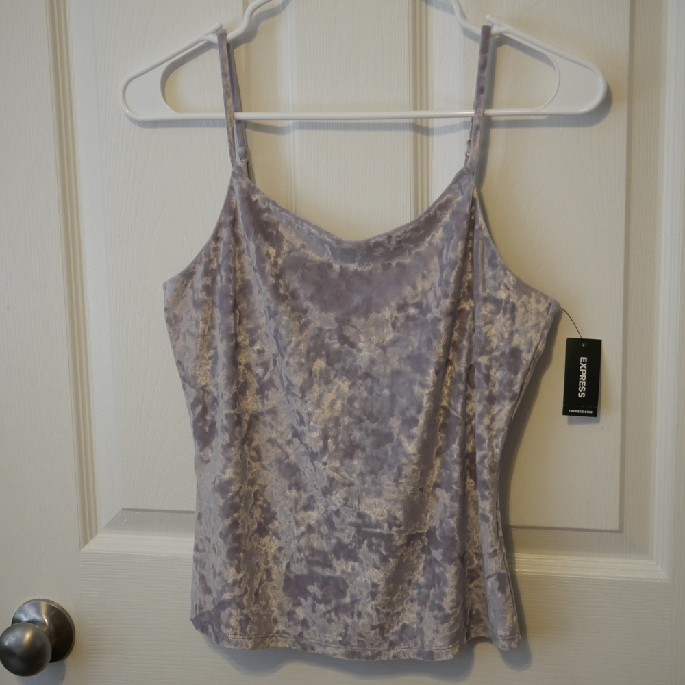 Express Silver Sleeveless Fitted Camisole